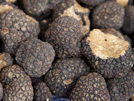 Truffle Shiitake Blend
