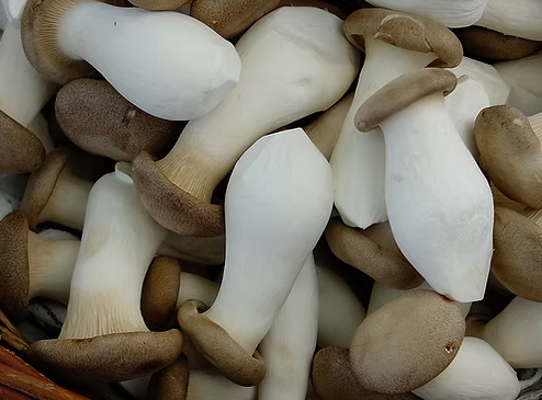 Dried Black Trumpets