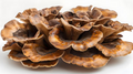 Dried Miatake