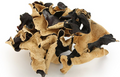 Dried Wood Ear