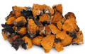 Dried Chaga