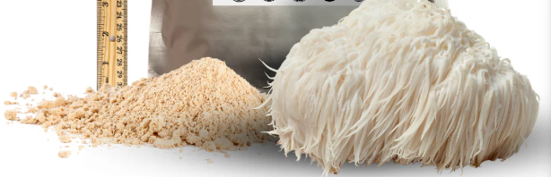 Lion's Mane Powder