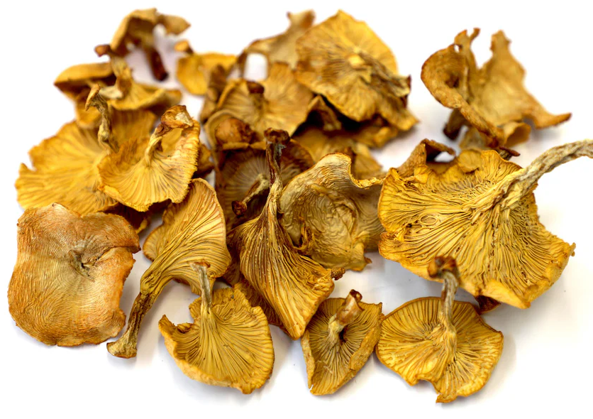 Dried Chanterelle