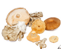 Dried Wild Mushroom Blend