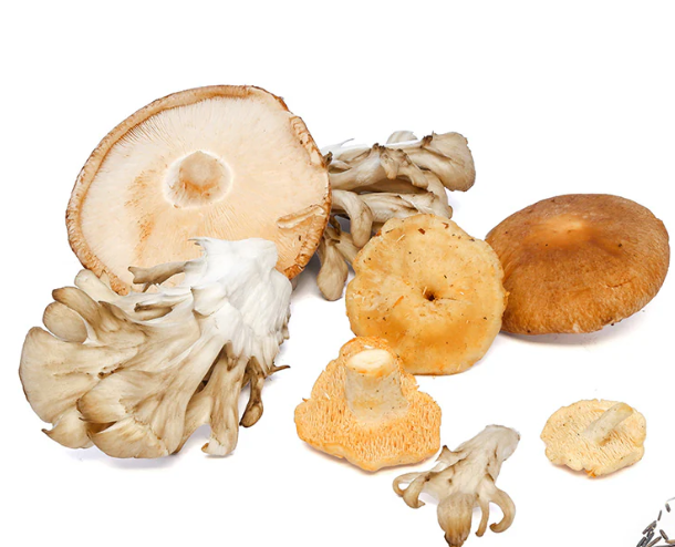 Dried Wild Mushroom Blend