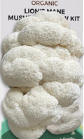 Lion's Mane Grow Kit