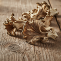 Dried Blue Oyster
